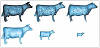 vaca