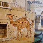 camel_Pared