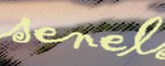 bannerletrasnelsahara
