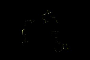 <h3> Apophysis: Galería de imágenes fractales</h3> <a href="http://piziadas.com/2011/09/apophysis-galeria-de-imagenes.html">Apophysis-110911-7</a>