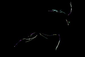 <h3> Apophysis: Galería de imágenes fractales</h3> <a href="http://piziadas.com/2011/09/apophysis-galeria-de-imagenes.html">Apophysis-110911-72</a>