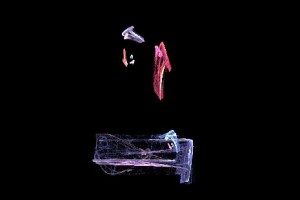 <h3> Apophysis: Galería de imágenes fractales</h3> <a href="http://piziadas.com/2011/09/apophysis-galeria-de-imagenes.html">Apophysis-110911-73</a>