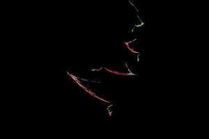 <h3> Apophysis: Galería de imágenes fractales</h3> <a href="http://piziadas.com/2011/09/apophysis-galeria-de-imagenes.html">Apophysis-110911-89</a>