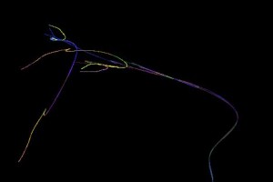 <h3> Apophysis: Galería de imágenes fractales</h3> <a href="http://piziadas.com/2011/09/apophysis-galeria-de-imagenes.html">Apophysis-110911-91</a>