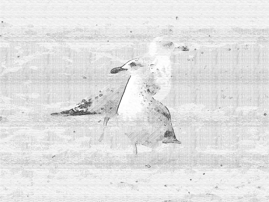 FotoSketcher-gaviotas-tinta FotoSketcher-gaviotas-tinta