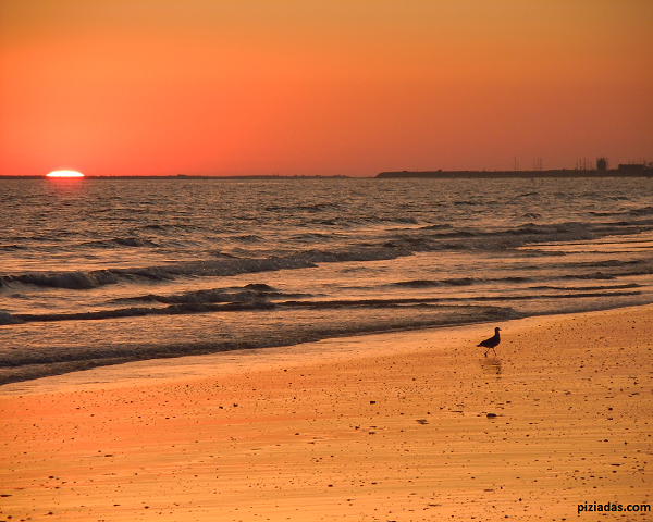 atardecer_600