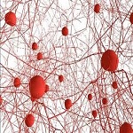 Neurociencia Neurociencia
