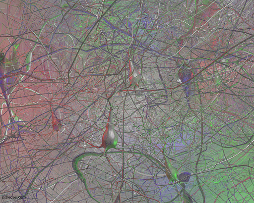 bosque-neuronas-low bosque-neuronas-low