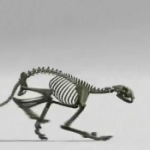 SIGGRAPH 2012