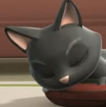 Cat’s Meow Cat’s Meow