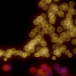 Captura de pantalla 2012-12-18 a la(s) 19.34.27