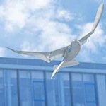 SmartBird : والروبوت التي تطير مثل الطيور