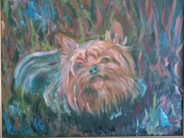 Homer (Terrier)