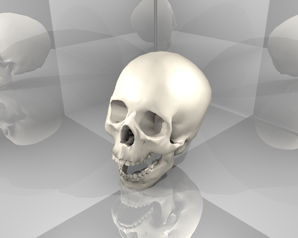 calavera_skull_low